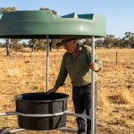Dry Lick Feed Trough - Image 2